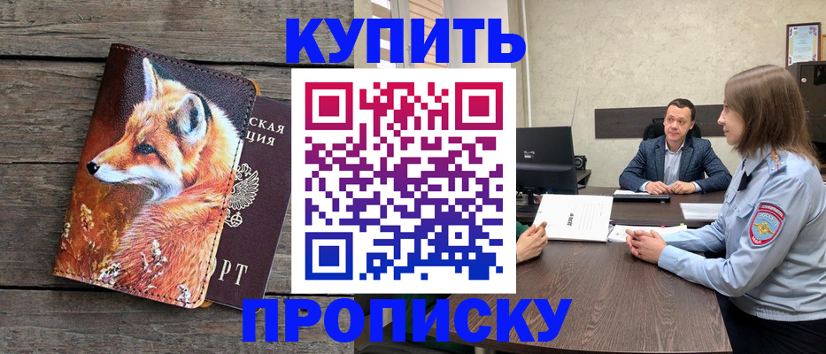 временная регистрация надежно в Коле